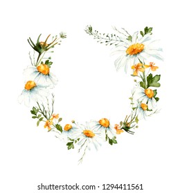 Watercolor frame with camomiles, celandine and green leaves. Hand drawn illustration of tender meadow flowers on white background