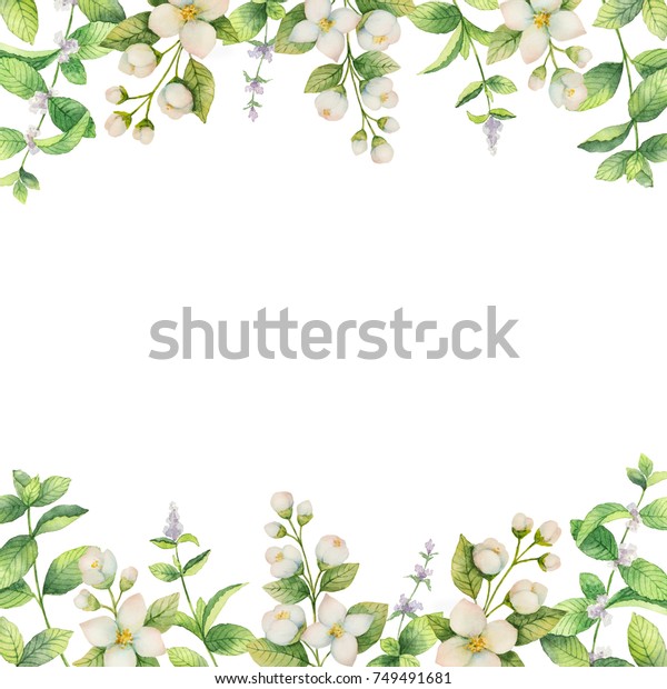 白い背景に水彩のフレーム ジャスミンとミントの枝 グリーティングカード 結婚式の招待状 自然の化粧品 包装 お茶のデザイン用の花柄イラスト のイラスト素材