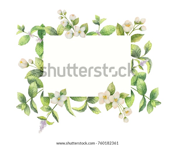 白い背景にジャスミンとミントの枝の水色の枠 グリーティングカード 結婚式の招待状 自然の化粧品 包装 お茶のデザイン用の花柄イラスト のイラスト素材