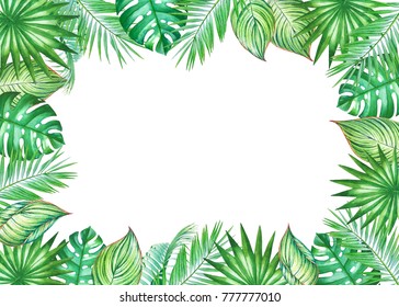 19,633 Monstera border Images, Stock Photos & Vectors | Shutterstock