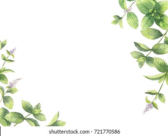 ミント のイラスト素材 画像 ベクター画像 Shutterstock