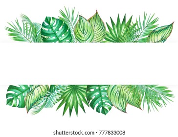 Watercolor Frame Tropical Leaves Isolated On Stock Illustration 777833008