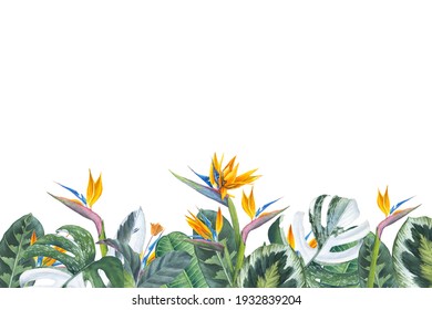 
Watercolor frame. Tropical leaves and strelitzia. Hand-drawn illustration. Image for invitation, postcard, business card, florist shop, lettering, logo. Floral theme.