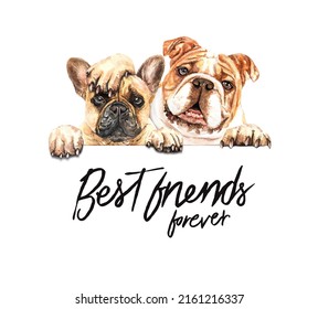 Watercolor French Bulldog   Bulldog  Dogs paint best friends forever  Row the tops heads French bulldog   Bulldog  Dogs hanging paws over white sign  Isolated white background 
