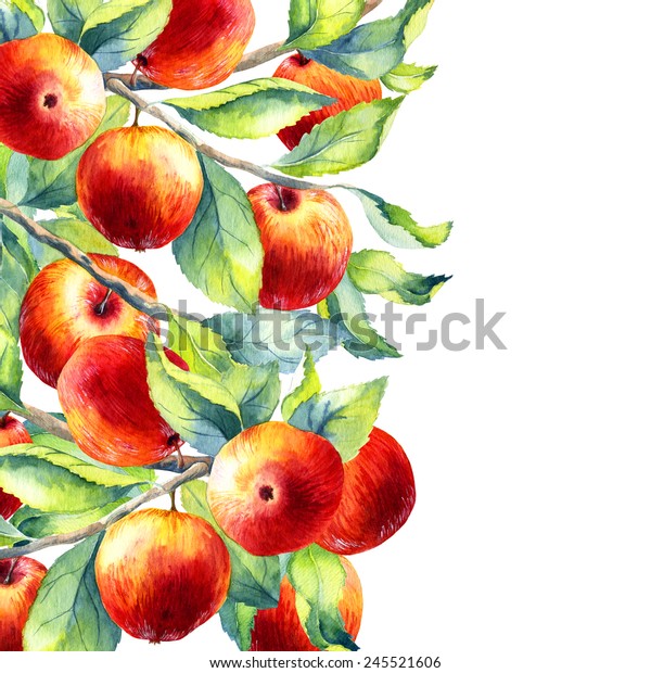 白い背景に水彩のフルーツリンゴの枝 のイラスト素材