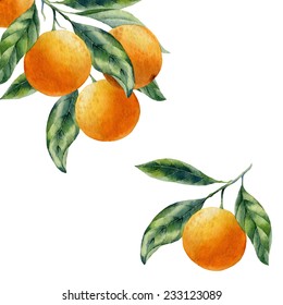 Watercolor Fruit Orange Branch