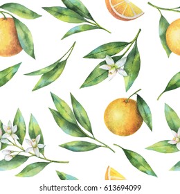 Orange Fruits Watercolor Pattern Images Stock Photos Vectors