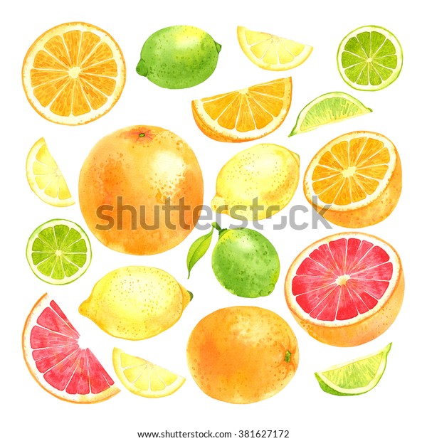 レモン ライム オレンジ グレープフルーツを含む水色のフルーツセット のイラスト素材