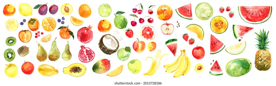 Watercolor fruits berries food color. Mango, tangerine, melon, blueberries, persimmon, Orange, cherry, pomegranate, papaya, Kiwi, Lemon, Lime, Raspberry, Apricot, Apple, Grapefruit, Banana, Strawberry - Powered by Shutterstock