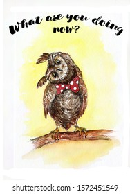 Watercolor Funny Owl With A Bow In Red Peas. The Owl's Head Is Tilted 90 Degrees. Funny Greeting Card