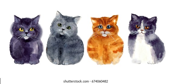 Ilustrasi Stok Watercolor Funny Sketch Cats Art Illustrations 674060482