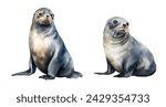 Watercolor fur seal, sea. Illustration clipart isolated on white background.