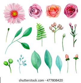 Hand Painted Watercolor Set Roses Isolated Stock Illustration 563574082