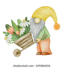 Watercolor Garden Gnome Carrying Flowers On A Wheelbarrow Isolated On White Background.