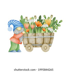 Watercolor Garden Gnome Carrying Flowers On A Cart Isolated On White Background.