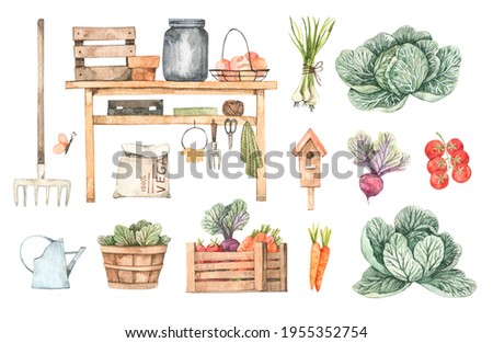 Watercolor Garden harvest illustrations with garden tools, vegetables, plants and farm objects. Spring summer seasons.Cartoon style. Perfect for cards, posters, prints, social media, advertise
