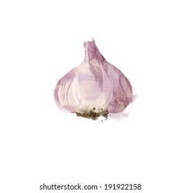 Watercolor Garlic