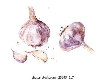 Watercolor Garlic