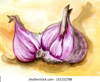 Watercolor Garlic Painting