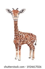 Watercolor Giraffe Illustration Cute Little Giraffe Stock Illustration ...