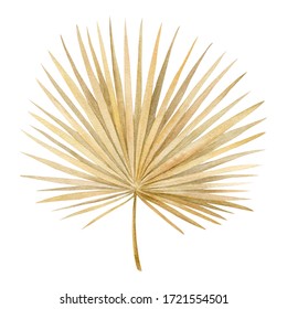 Watercolor Golden Dried Fan Palm Leaf. Exotic Beige Clipart Isolated On The White Background. Hand-drawn Illustration. California Boho Style.