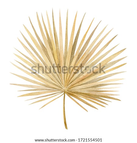 Watercolor golden dried fan palm leaf. Exotic beige clipart isolated on the white background. Hand-drawn illustration. California boho style.