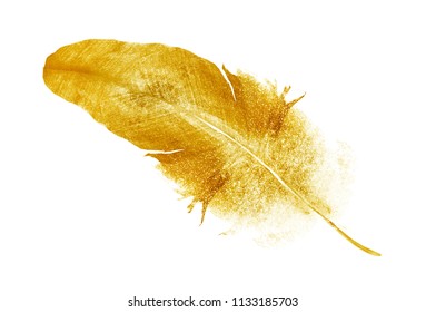 Watercolor Golden Feather