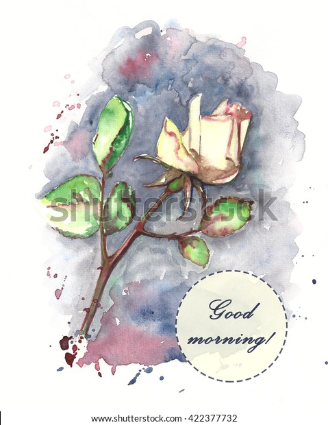 Watercolor Good Morning Card White Rose Stock Illustration 422377732