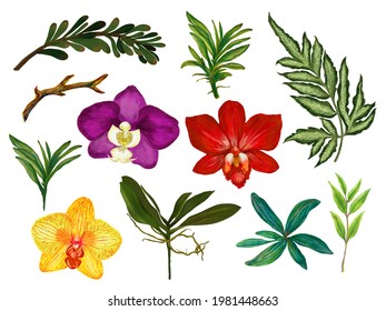 Watercolor Gouache Illustration Botanical Orchid Colorful Flower Leaves Collection Set Of Wild And Garden And Abstract Leaves Elements Hand Painting