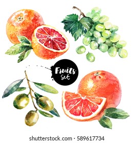 Watercolor grapefruit, grapes, olives, blood orange fruits and vegetables set. Painted isolated natural organic fresh eco food illustration on white background
