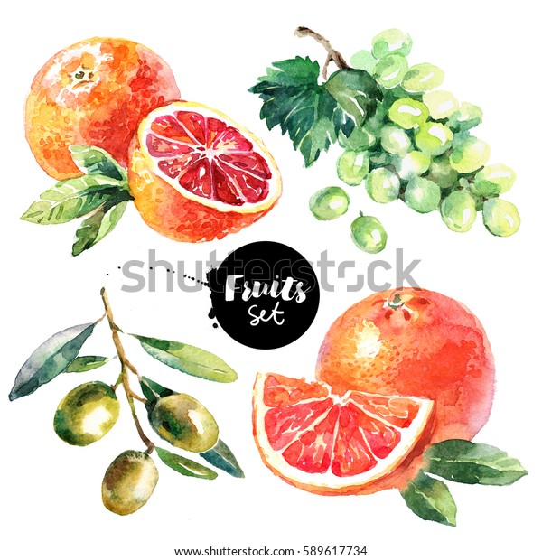 水彩のグレープフルーツ ブドウ オリーブ 血のオレンジ色の果物 野菜セット 白い背景に自然の生鮮エコフードイラストを描く のイラスト素材