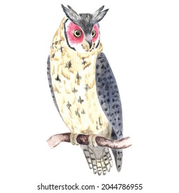 Watercolor Great Horned Owl. Hand Drawn Illustration Of Wild Bird.