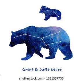 Watercolor great and little bears, dippers. Silhouettes on stars background.