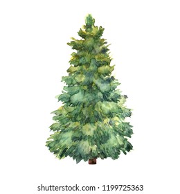 Watercolor green Christmas tree on white background. Isolated hand drawn elements for prints, cards