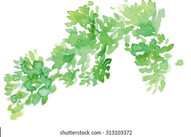 Watercolor Green Leaves Abstract