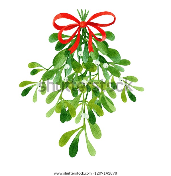 Watercolor Green Mistletoe Berries Hand Painted Stock Illustration ...