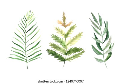 Evergreen Plant Tree Seamless Pattern Background Stock Vector (Royalty ...