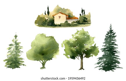 Watercolor green tree and farmhouse. Painted pine plant. Forest illustration. Summer or spring scene