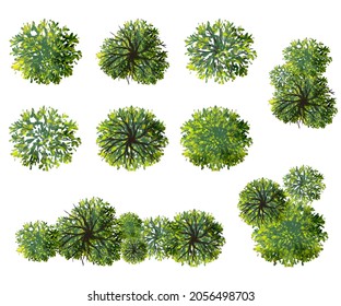 Watercolor Green Tree Top View Isolated Stock Illustration 2056498703 ...