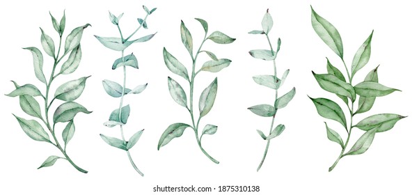 Watercolor Floral Illustration Set Green Leaf Stock Illustration 1590062920