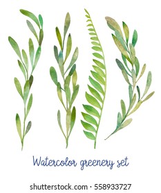 Watercolor Greenery Set. Hand Drawn Wild Green Plants Isolated On White Background. 