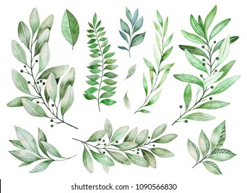 Watercolor greens collection.Texture with greens,branch,leaves,fern leaves,foliage.Perfect for wedding,invitations,greeting cards,quotes,pattern,bouquet,logos,Birthday cards,your unique create etc