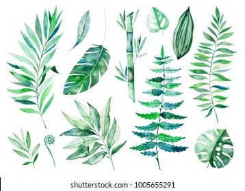 Watercolor greens collection.Texture with greens,branch,leaves,tropical leaves,bamboo.Perfect for wedding,invitations,greeting cards,quotes,pattern,bouquet,logos,Birthday cards,your unique create etc - Powered by Shutterstock