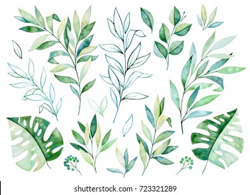 Watercolor greens collection.Texture with greens,branch,leaves,tropical leaves,foliage.Perfect for wedding,invitations,greeting cards,quotes,pattern,bouquet,logos,Birthday cards,your unique create etc