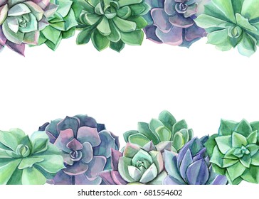 Watercolor. Greeting card, design  succulent 
