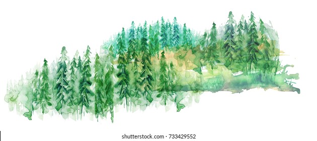 Watercolor group of trees - fir, pine, cedar, fir-tree. green forest, countryside landscape. Drawing on white isolated background.