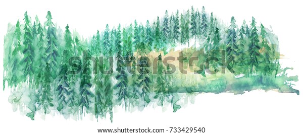 水彩樹木群 モミ 松 杉 モミ 緑の森 田舎の風景 白い背景に図面 のイラスト素材