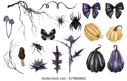 Watercolor Halloween Clipart Set With Pumpkins, Branches, Mushrooms, Thorns, Spider, Bug, Black Butterfly