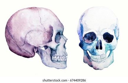 Watercolor Halloween Set, Human Skull Profile And Facet