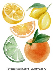 Watercolor Hand Drawing Citrus Orange Lemon Lime And Slice Illustration. Use For Card, Print, Poster, Template, Textile, Background, Menu, Shop, Advertising